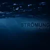 Puzzle - Strömung - Single